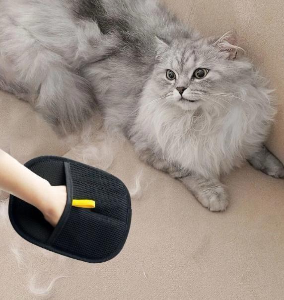 PawShe Pet Hair Removal Glove