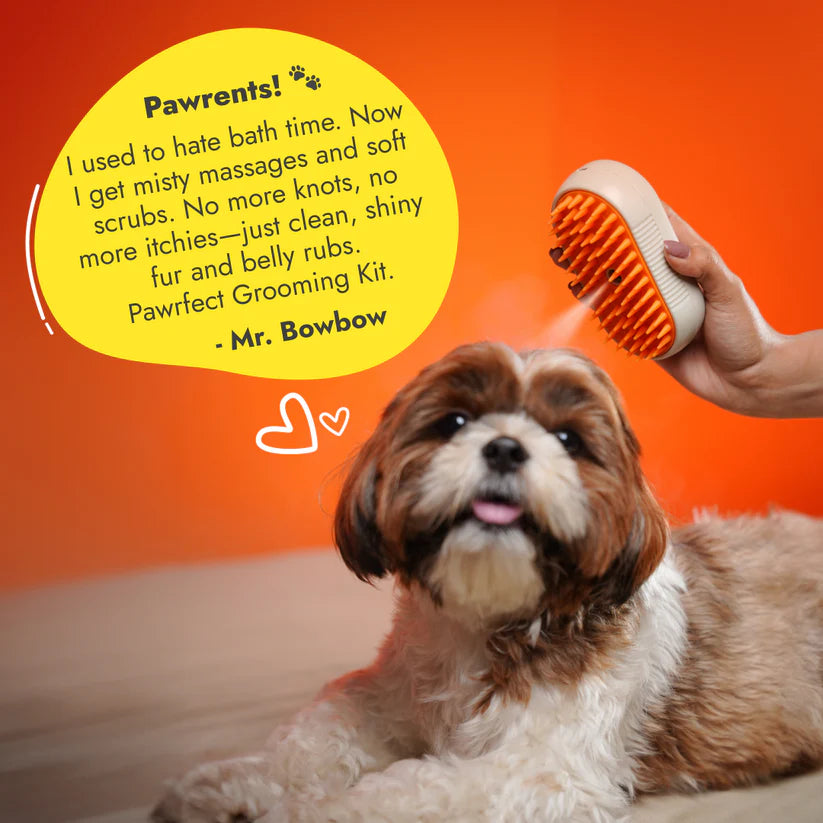 PawShe Pet Steamer